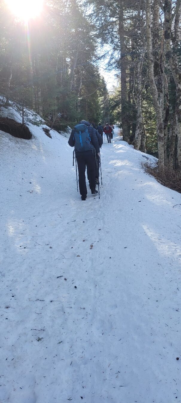 Randonnées randonneurs