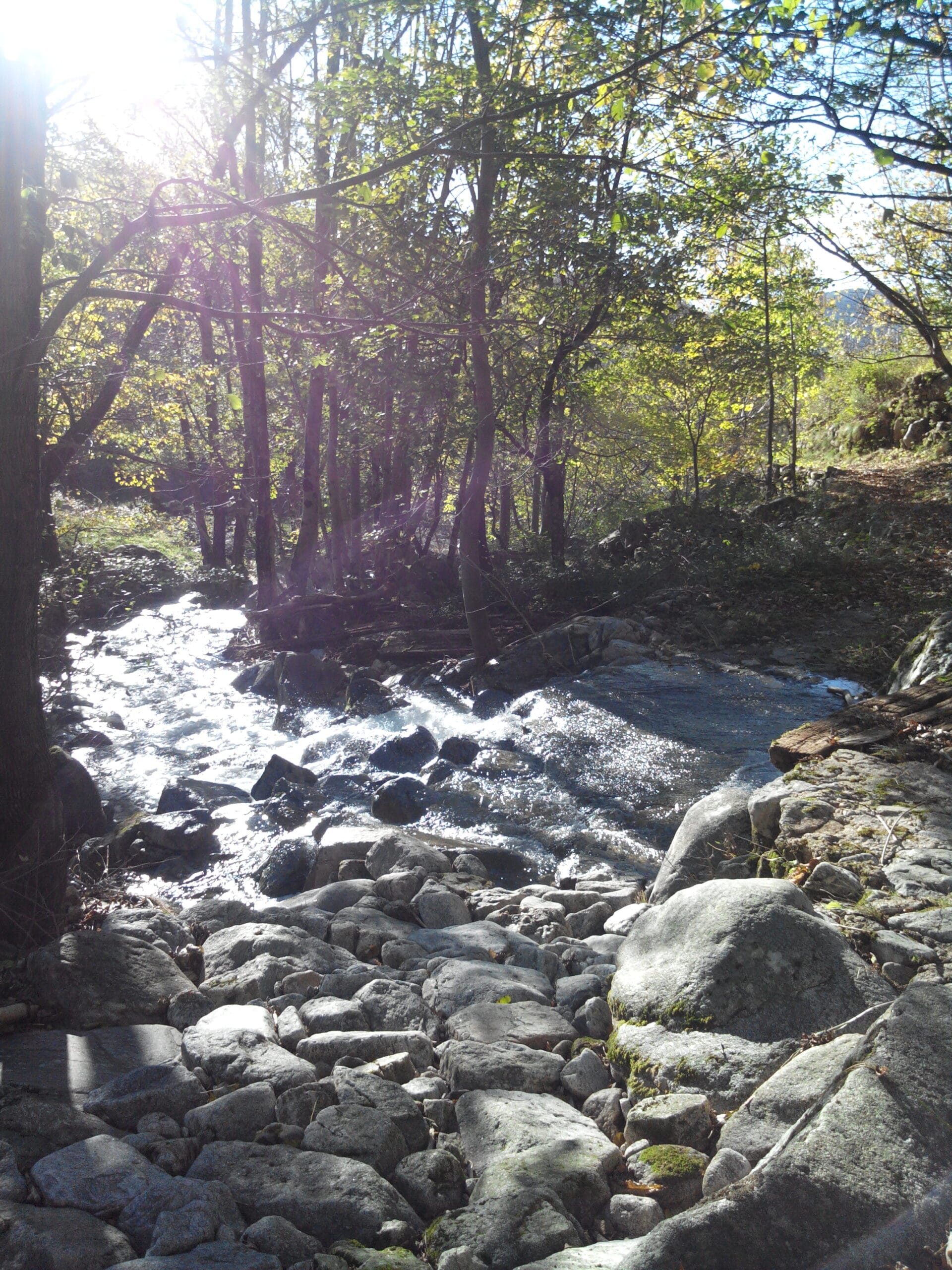 img 20141108 100713