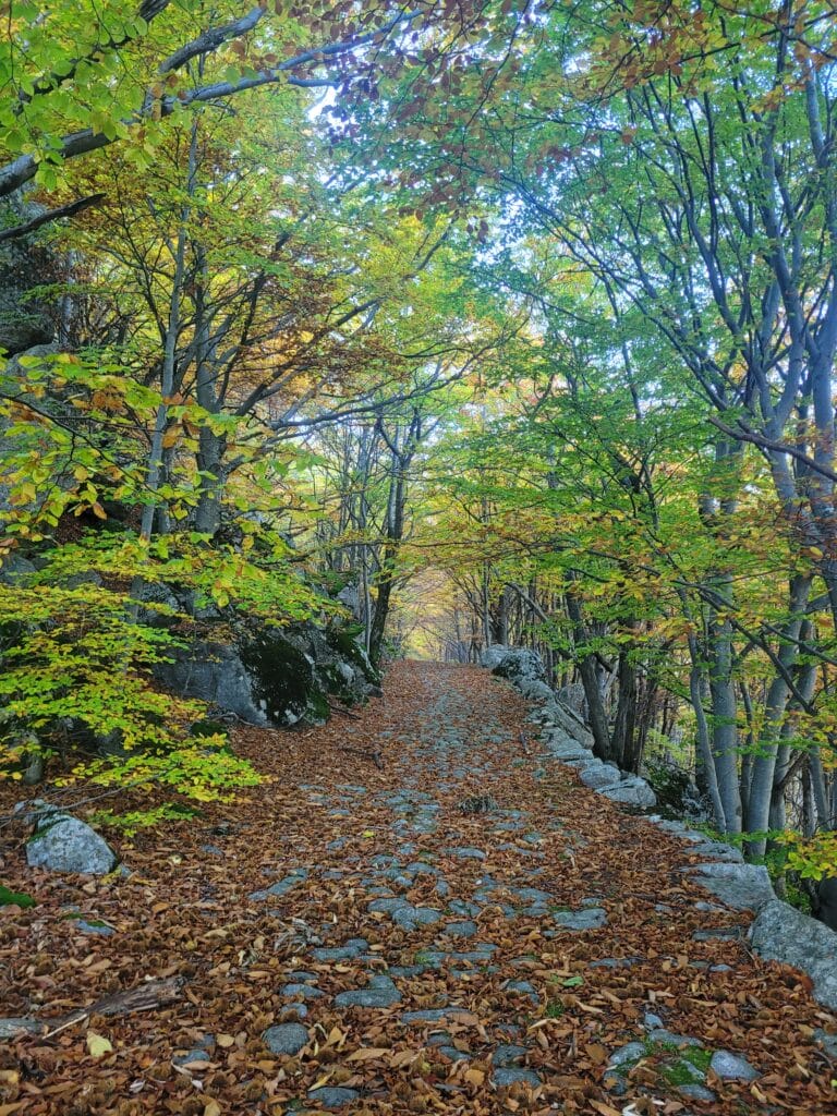 Adhérer à l'AEAM : Tout pour connaitre l'histoire locale de Montpezat la côte du pal, patrimoine historique de Montpezat sous Bauzon