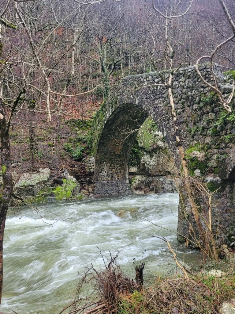 le pont bossu