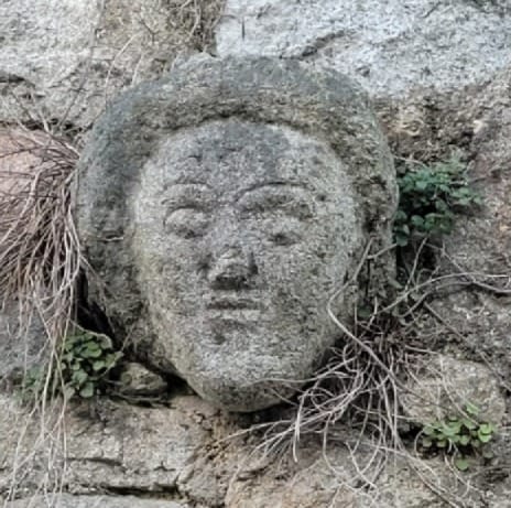 Les mascarons tête2